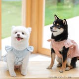 cotton flannel小型犬サイズ・犬服(ドッグウェア)・ドレス | fran de lingerie | 詳細画像9