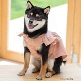 cotton flannel小型犬サイズ・犬服(ドッグウェア)・ドレス | fran de lingerie | 詳細画像10