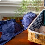 ネイビー | Natural Fit ナチュラルフィット | fran de lingerie