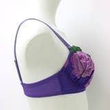 bliss ペアブラジャー フラン | fran de lingerie | 詳細画像18