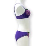 bliss ペアブラジャー フラン | fran de lingerie | 詳細画像31