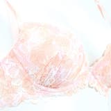 Lacy Gradation レーシーグラデーション | fran de lingerie | 詳細画像19 