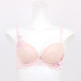 Sheer Beauty シアービューティー | fran de lingerie | 詳細画像14 
