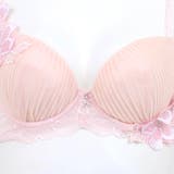 Sheer Beauty シアービューティー | fran de lingerie | 詳細画像15 