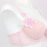Sheer Beauty シアービューティー | fran de lingerie | 詳細画像17 