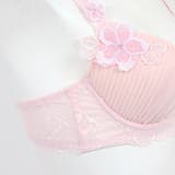 Sheer Beauty シアービューティー | fran de lingerie | 詳細画像18 