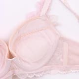 Sheer Beauty シアービューティー | fran de lingerie | 詳細画像19 