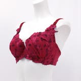 Grace Grande グレースグランデ | fran de lingerie | 詳細画像18 