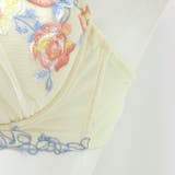 GRACE Fiora グレースフィオラ | fran de lingerie | 詳細画像26 