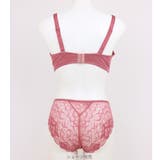 GRACE Ordinary らくらく補正グレースオーディナリー | fran de lingerie | 詳細画像25 