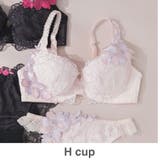 ピンク | ボディメイクの真骨頂華麗なエキゾチックランジェリー。 「グレースイストマスカレー… | fran de lingerie