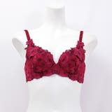 GRACE Grande らくらく補正グレースグランデ | fran de lingerie | 詳細画像19 