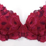 GRACE Grande らくらく補正グレースグランデ | fran de lingerie | 詳細画像20 