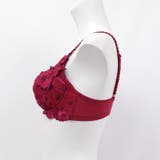 GRACE Grande らくらく補正グレースグランデ | fran de lingerie | 詳細画像28 