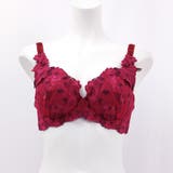 GRACE Grande らくらく補正グレースグランデ | fran de lingerie | 詳細画像20