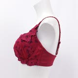 GRACE Grande らくらく補正グレースグランデ | fran de lingerie | 詳細画像28