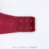 GRACE Grande らくらく補正グレースグランデ | fran de lingerie | 詳細画像30