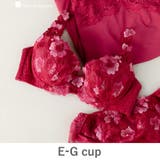 ワイン | バストメイクの真骨頂可憐な花びら刺繍 「グレースイストフラワーペタル ブラジャー」 | fran de lingerie