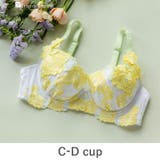 ホワイト | ボディメイクの真骨頂ゴージャス薔薇刺繍 「グレースイストグランデ ブラジャー(ワ… | fran de lingerie