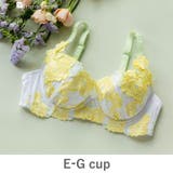 ホワイト | ボディメイクの真骨頂ゴージャス薔薇刺繍 「グレースイストグランデ ブラジャー」 | fran de lingerie