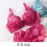 ワイン | ボディメイクの真骨頂ゴージャス薔薇刺繍 「グレースイストグランデ ブラジャー」 | fran de lingerie