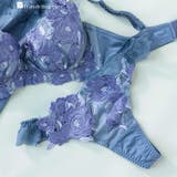 グレイッシュブルー | ゴージャス薔薇刺繍フェミニンヒップに 「グレースイストグランデ タンガ」 | fran de lingerie