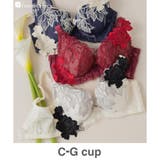 シャンパン | 身体の変化に気付いた女性のためのご自愛ランジェリー「GRACE | fran de lingerie