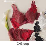 ワイン | 身体の変化に気付いた女性のためのご自愛ランジェリー「GRACE | fran de lingerie