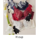 シャンパン | 身体の変化に気付いた女性のためのご自愛ランジェリー「GRACE soin(グレー… | fran de lingerie