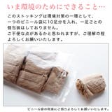 [10足入り]ストッキング パンスト 日本製 | frifla | 詳細画像17 