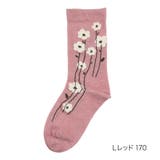 Ｌレッド170 | 満足 はだがわなめらか 靴下 | 福助オンラインストア