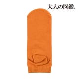 大人の図鑑 靴下 ツタンカーメンの棺 スニーカー丈 (3282-15N) | 福助オンラインストア | 詳細画像5 