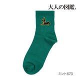 ミント670 | 福助 靴下 古代エジプト編 | 福助オンラインストア