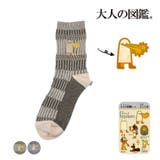 福助 【大人の図鑑】 靴下 | 福助オンラインストア | 詳細画像1 