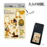 福助 【大人の図鑑】 靴下 | 福助オンラインストア | 詳細画像6 