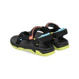 Teva テバ T | ASBee  | 詳細画像2 