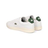 LACOSTE ラコステ CARNABY | ASBee  | 詳細画像2 