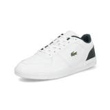 LACOSTE ラコステ T | ASBee | 詳細画像8