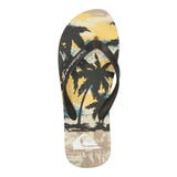 QUIKSILVER クイックシルバー MOLOKAI | ASBee | 詳細画像5
