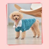 犬用 ジャケット 冬服 | Gain-Mart | 詳細画像8 