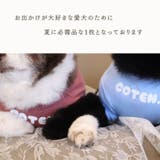 犬 犬服 クール | Gain-Mart | 詳細画像11