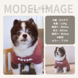 犬 犬服 クール | Gain-Mart | 詳細画像13