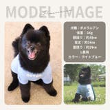 犬 犬服 クール | Gain-Mart | 詳細画像14