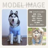 犬 犬服 クール | Gain-Mart | 詳細画像16