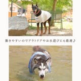 犬 犬服 クール | Gain-Mart | 詳細画像8