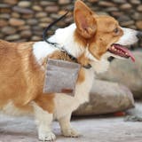 犬用 トリーツポーチ ペット | Gain-Mart | 詳細画像7