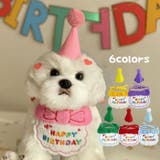 犬 誕生日 グッズ | Gain-Mart | 詳細画像1 