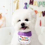 犬 誕生日 グッズ | Gain-Mart | 詳細画像2 