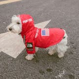 犬服 レインコート THE | Gain-Mart | 詳細画像6