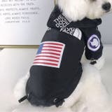 犬服 レインコート THE | Gain-Mart | 詳細画像9